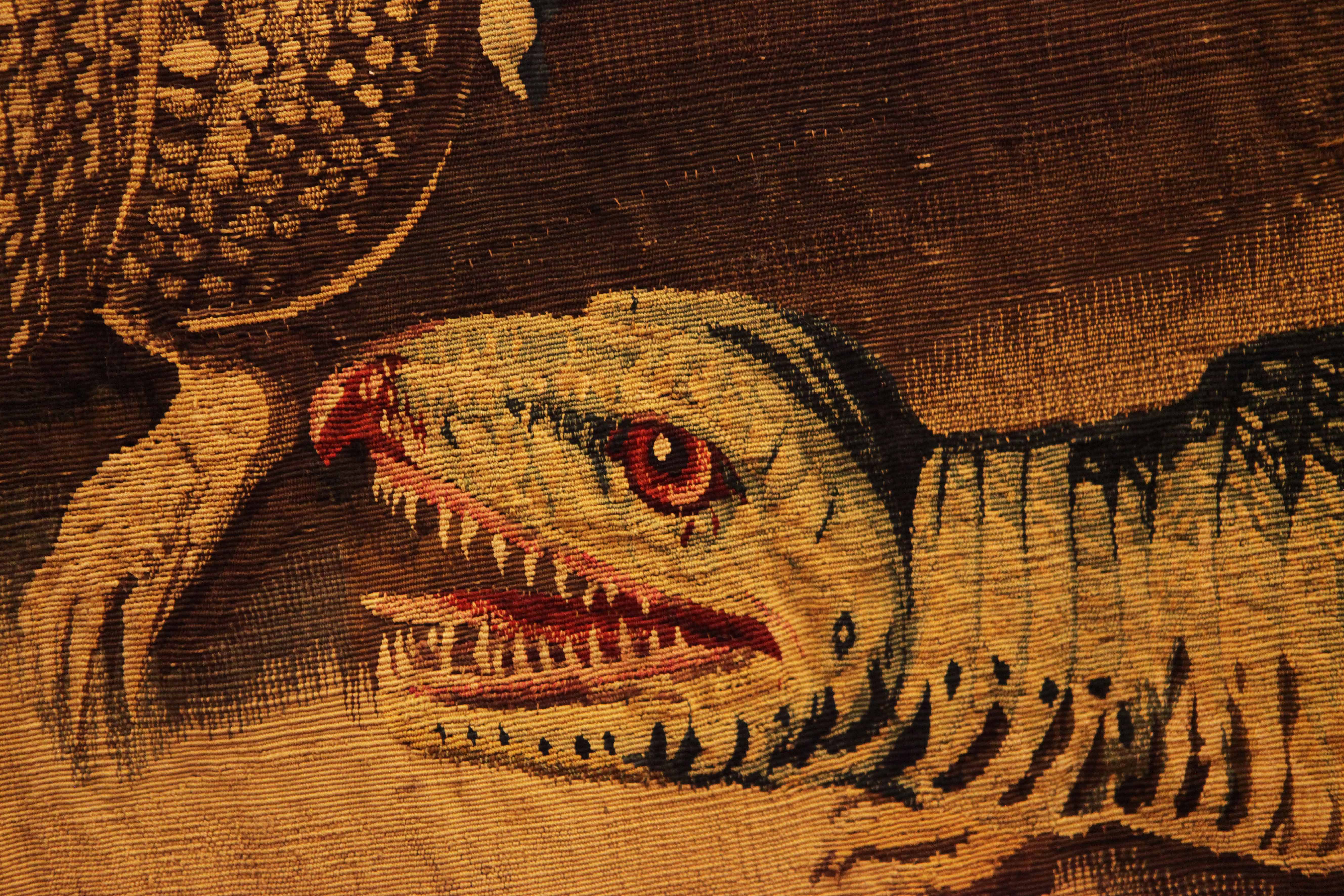 Musei Reali - Animali dalla A alla Z. Una mostra dedicata ai bambini